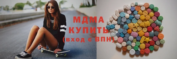 крисы Бородино