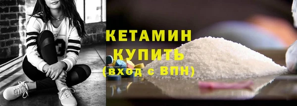 крисы Бородино