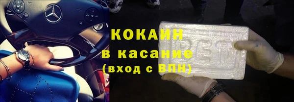 крисы Бородино