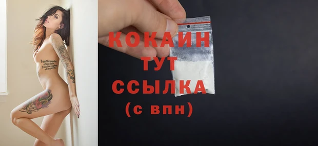 крисы Бородино