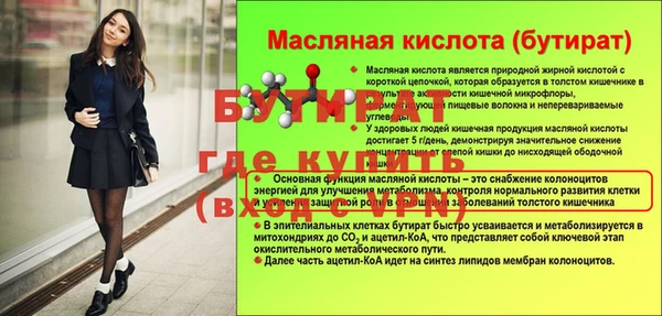 крисы Бородино