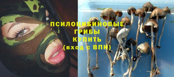 молекула духа Верхний Тагил
