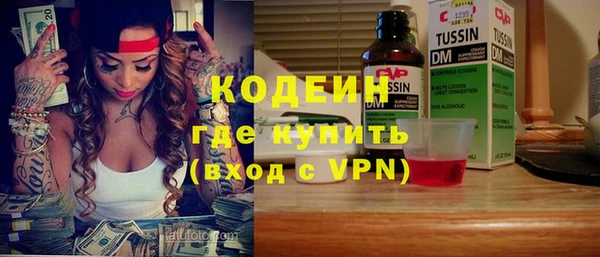 крисы Бородино