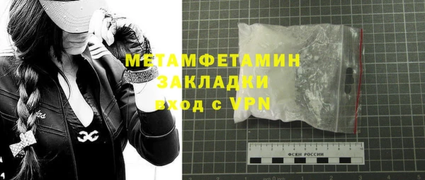 крисы Бородино