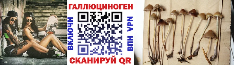 Купить где Воскресенск Псилоцибиновые грибы прущие грибы